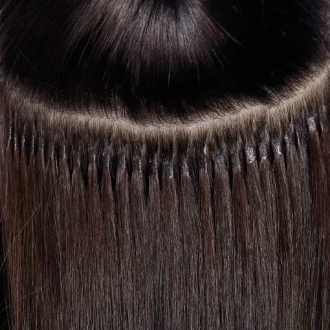 Extensions Detailaufnahme